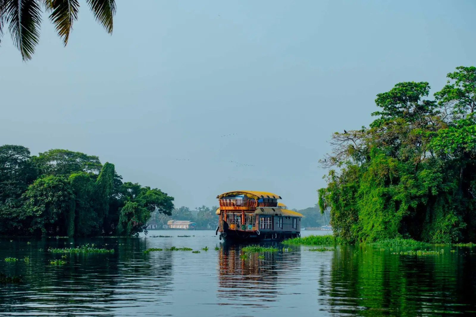 Two-bedroom premium Alleppey houseboat cruising a palm-lined Kuttanad canal